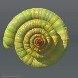Snail Spirals IV