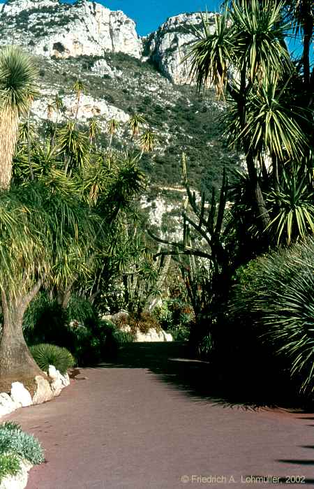 Jardin exotique, Monaco, Côte d'Azur, Provence