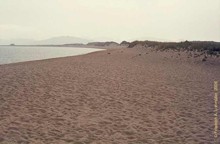 Beach north of Palau, northern Sardinia