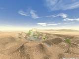sandsturm over the oasis in the desert