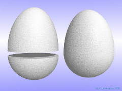 Egg Shape 600x450