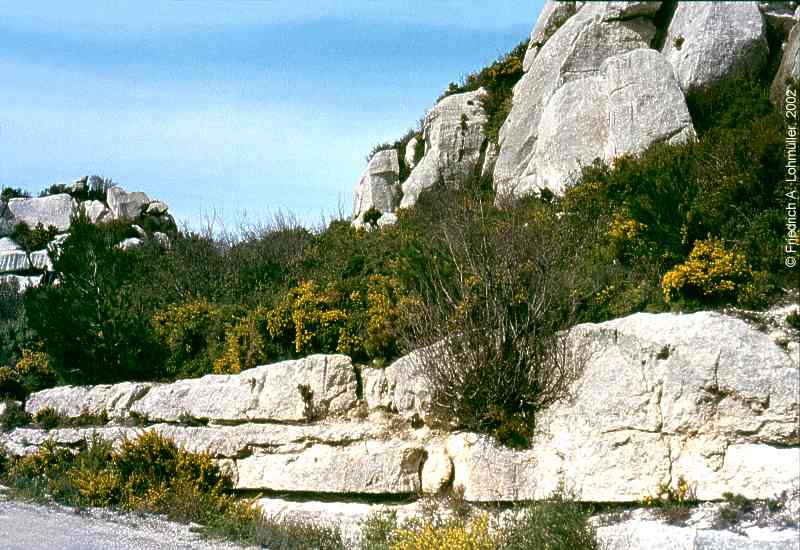 Les Alpilles