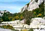 Les Alpilles