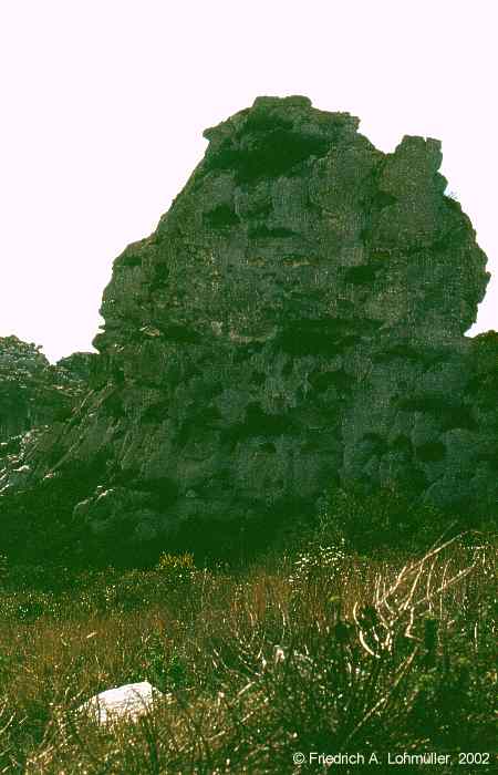 Les Alpilles