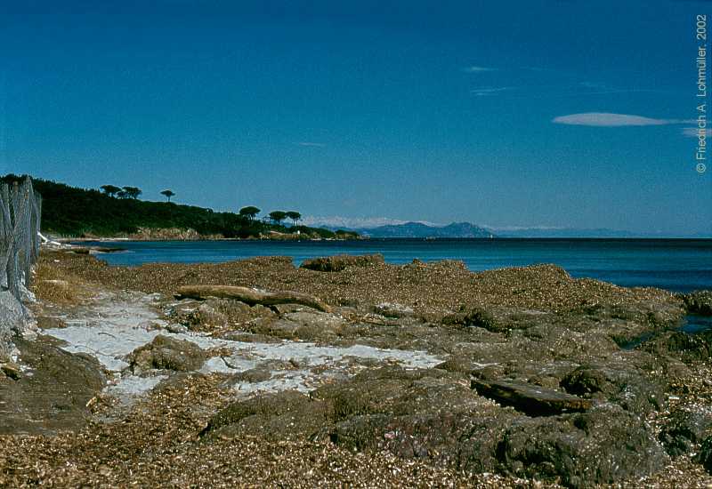 Plage des Salins, St. Tropez, Côte d'Azur, Provence