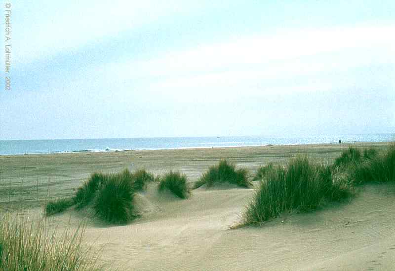 Le Grau-du-Roi, Phare de Espiguette