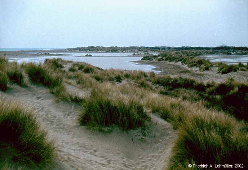 Le Grau-du-Roi, Phare de Espiguette