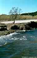 Baie des Canebiers, St. Tropez