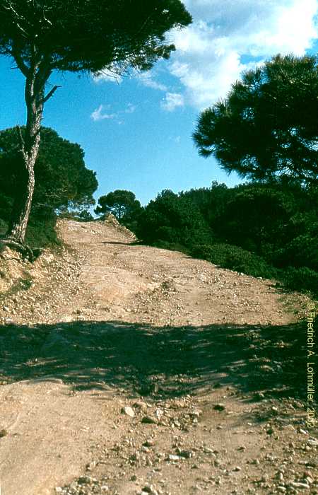 Near St. Tropez, Côte d'Azur, Provence