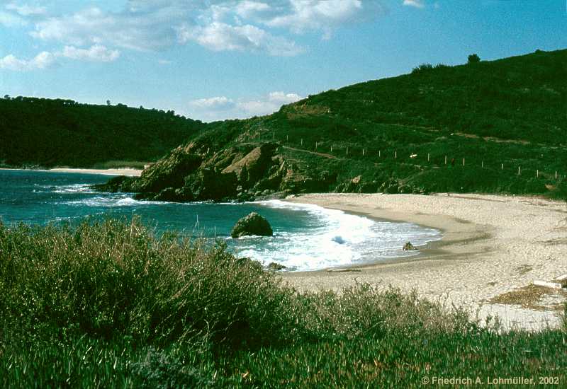 Baie de Briande, Cap Cartaya, St. Tropez, Côte d'Azur, Provence