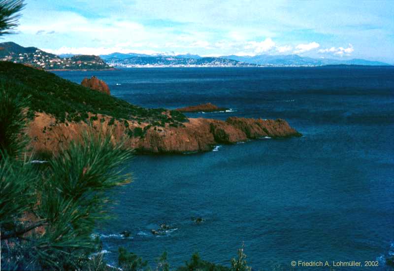 Near Cannes, Côte d'Azur, Provence