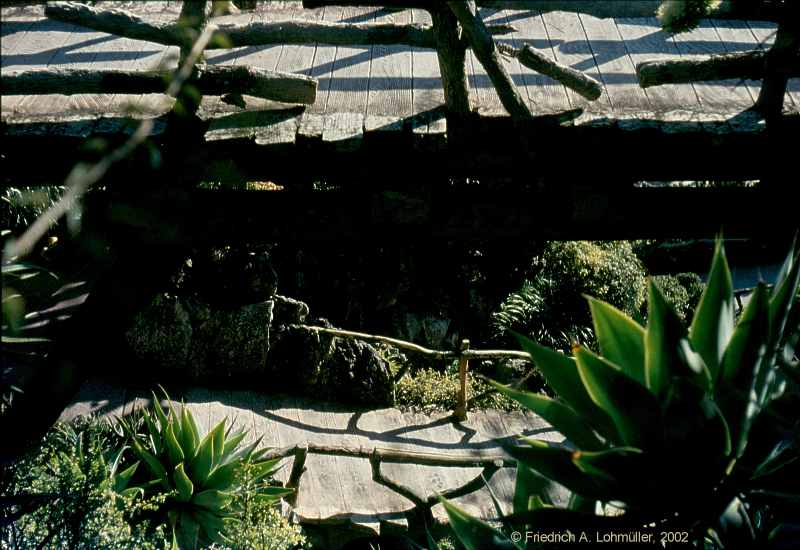 Jardin exotique, Monaco, Côte d'Azur, Provence