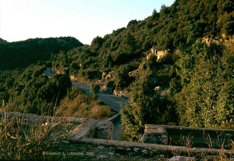 Near La Turbie, Monaco, Côte d'Azur, Provence