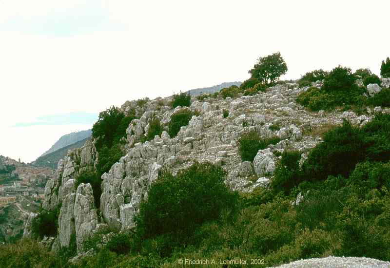 Mt. Angle, Monaco, Côte d'Azur, Provence