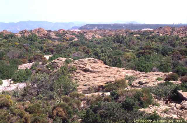 Capo Altano o Giordano, Portoscuso