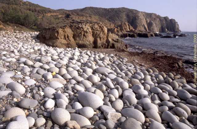 stone eggs