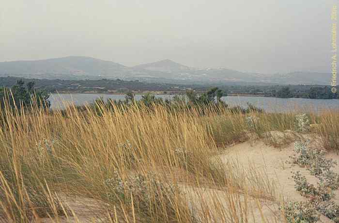 Beach north of Palau, northern Sardinia