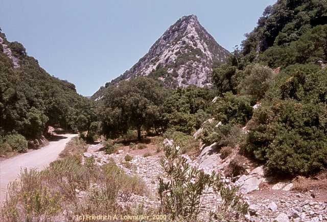 Near by the Grotta di San Giovanni, Domusnovas