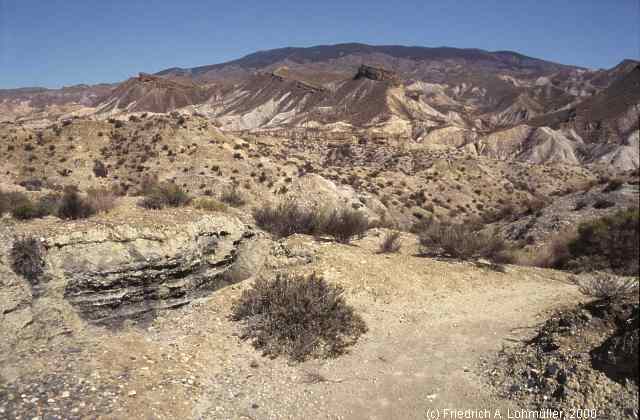 Sierra Alhamilla, Rambla de Tabernas