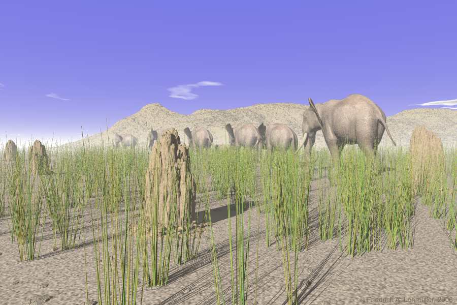 Elephants in the savanna