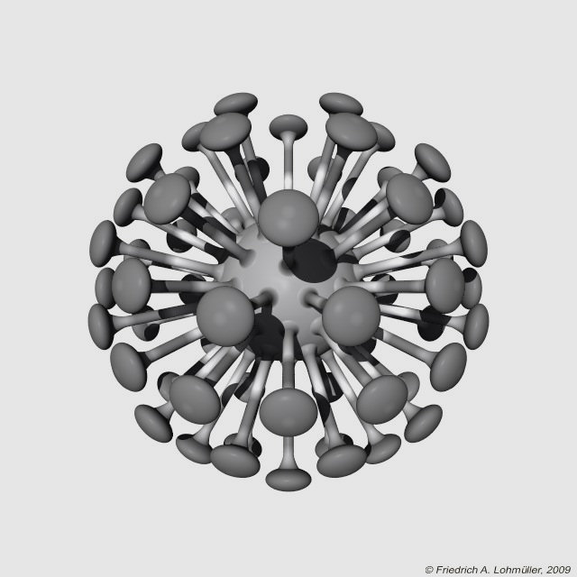 Geodesic Flowers (6)