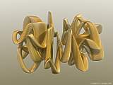 wild gold sine