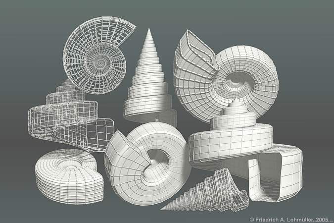 Snail Shell Variations I