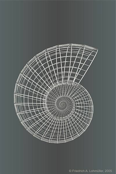 Wireframe Nautilus