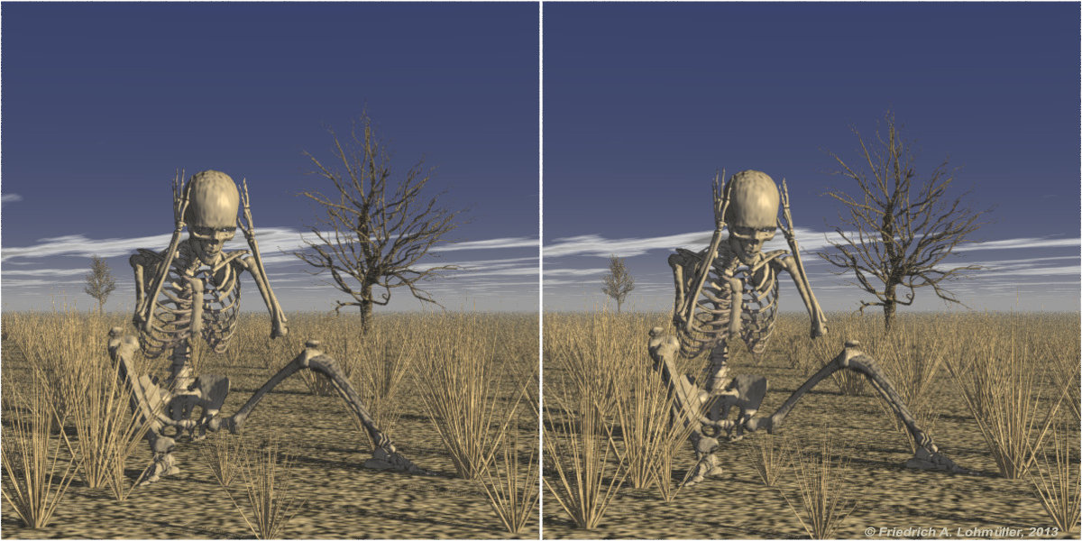 Desparate Skeleton Stereo