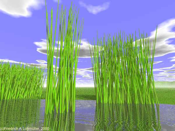 reeds