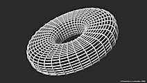 Wireframe Torus (6)