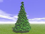 Tree_10