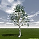 POV-Tree